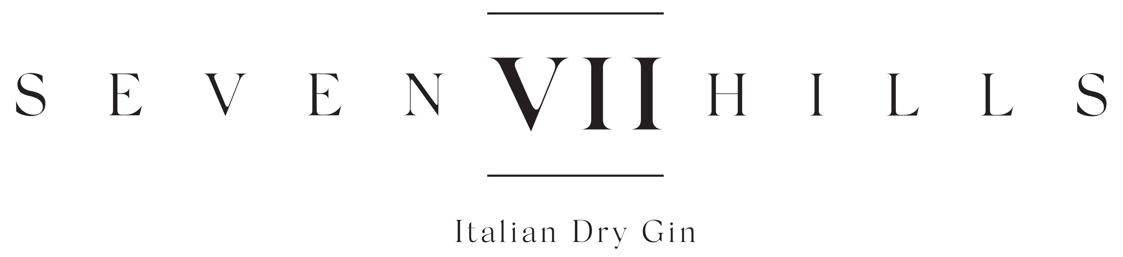 VII HILLS GIN STORE